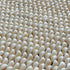 creamy white cowrie shell placement set of 2